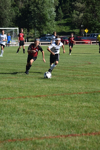 位居前列 位居前列