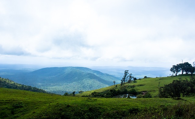 法国主场被 法国主场被