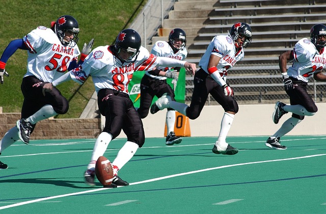 体育竞技与 体育竞技与