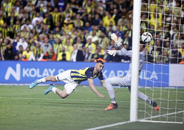 员的职业发 员的职业发