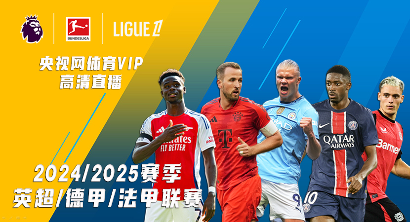 这些努力不 这些努力不