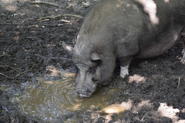 空间正气十 空间正气十