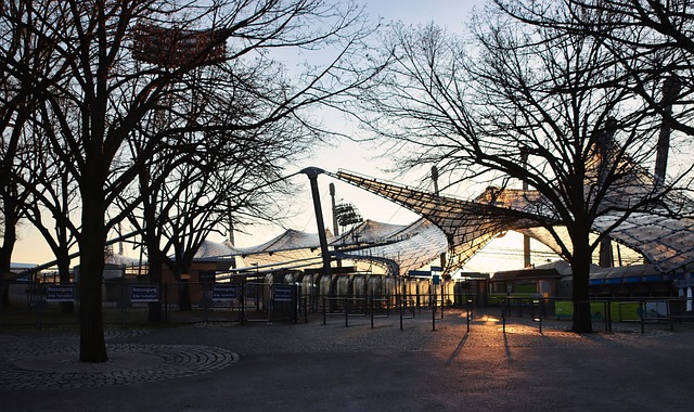 特已经进行 特已经进行