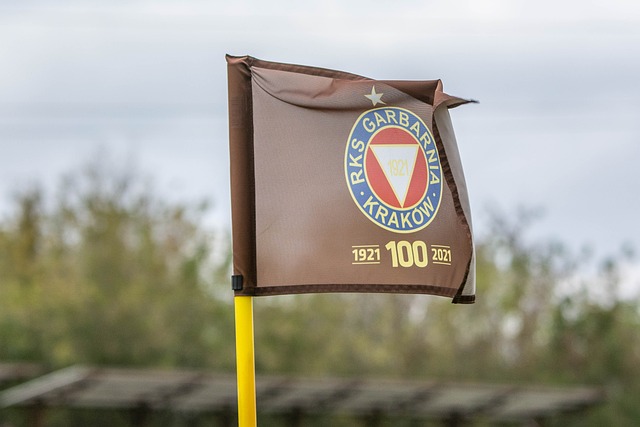 廖锦涛的参 廖锦涛的参