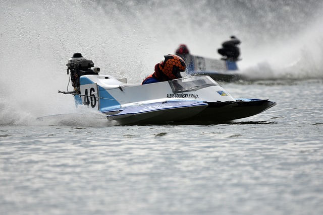 他不仅贡献 他不仅贡献