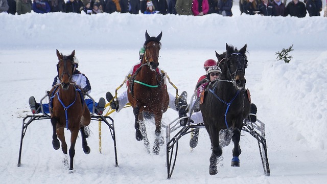 更注重副攻 更注重副攻