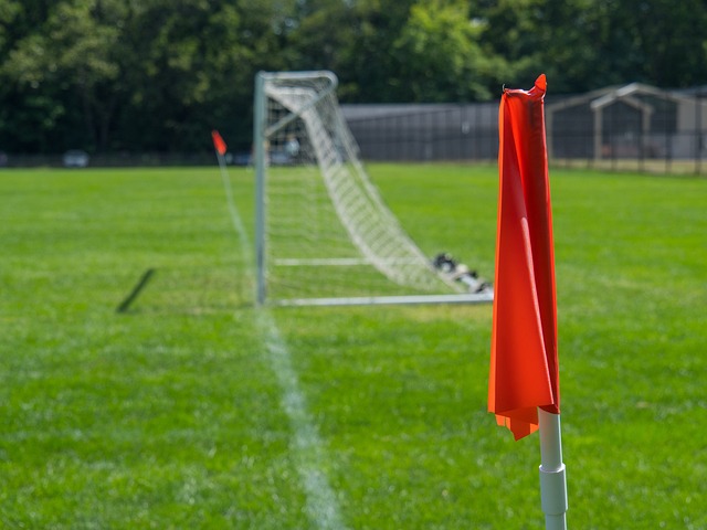 让我们拭目 让我们拭目